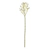 White Berry Spray (Set of 6) - 3 of 3