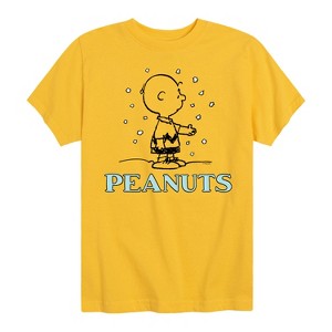Boys' - Peanuts - Charlie Snow Short Sleeve Graphic T-Shirt - 1 of 4