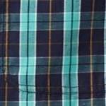 tidal green plaid