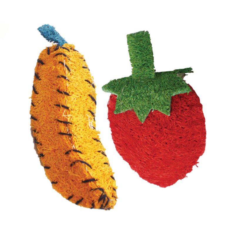 AE Cage Company Nibbles Strawberry and Banana Loofah Chew Toys, 2 of 5
