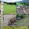 Galvanized Wire Fence, Livestock Fence Garden Fencing Roll, Heavy Zinc Poultry Netting for Goat Deer - 4 of 4