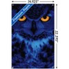 Trends International Owl - Eyes Unframed Wall Poster Prints - 3 of 4