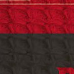 tampa bay buccaneers