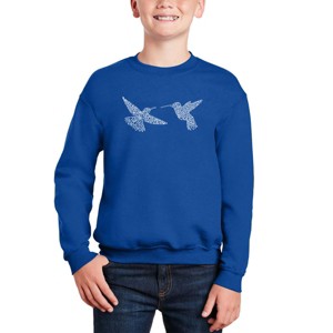 LA Pop Art Hummingbirds - Boy's Word Art Crewneck Sweatshirt - 1 of 3