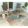 Liora Manne Frontporch Coastal Indoor/Outdoor Rug.. - 3 of 4