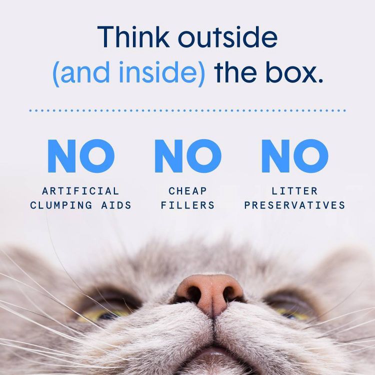 Boxiecat Probiotic Odor Control Clumping Plant-Based Cat Litter, 5 of 8