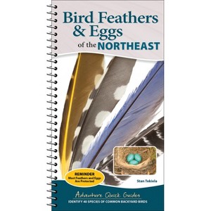 Bird Feathers & Eggs of the Northeast - (Adventure Quick Guides) by  Stan Tekiela (Spiral Bound) - 1 of 1
