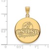 Black Bow Jewelry 10k Yellow Gold California State San Bernardino Coyotes NCAA Large Pendant - 2 of 3