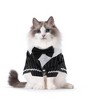 Unique Bargains Cat Apparel Black 1 Pc - 4 of 4