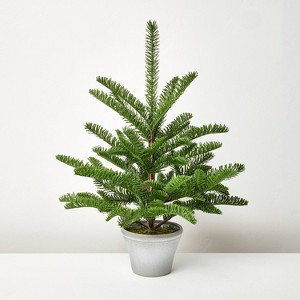 Potted Spruce Artificial Tree - Hearth & Hand™ with Magnolia - 1 of 4