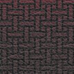 tampa bay buccaneers