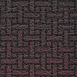 tampa bay buccaneers