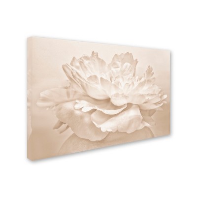 Trademark Fine Art -Cora Niele 'White Peony' Canvas Art