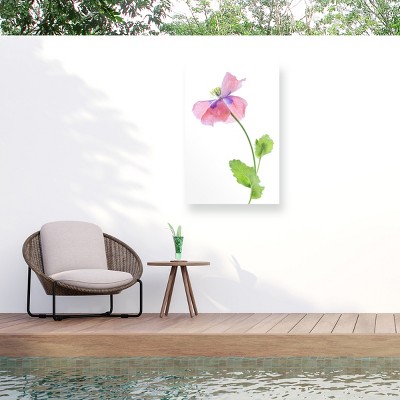 Trademark Fine Art - Mandy Disher  Poppy Matted Framed Art