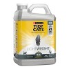 Purina Tidy Cats Lightweight 4-in-1 Strength Plastic Jug Clumping Cat Litter - image 4 of 4