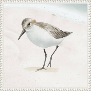 Amanti Art 16"x16" Sandpiper on The Beach II by Lucca Sheppard Framed Canvas Wall Art Print: Modern Coastal Wall Canvases, Earth Tones Decor - 1 of 4