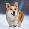 Unique Bargains Dog Cat Warm Vest for Winter and Autumn - 3 of 4