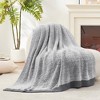 Amelie Home Reversible Plush Knit Throw Blanket - Soft & Cozy Feather Yarn Design - 2 of 4