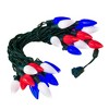 Novelty Lights LED C9 Ceramic Outdoor Lighting, Green Wire (25 Bulbs, 120 V) - 2 of 4