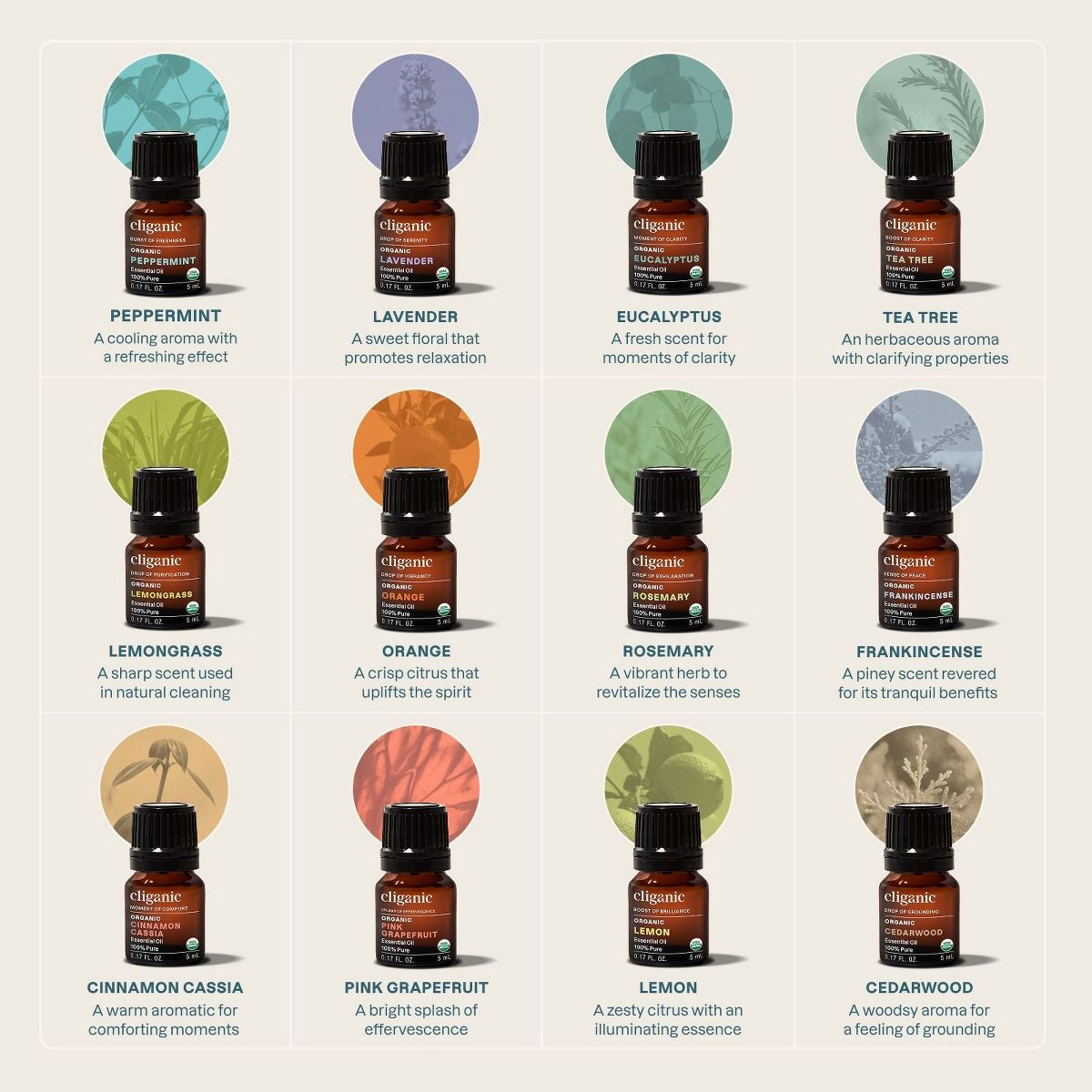 12-Piece Essential Oil Aromatherapy Set - thumbnail 3