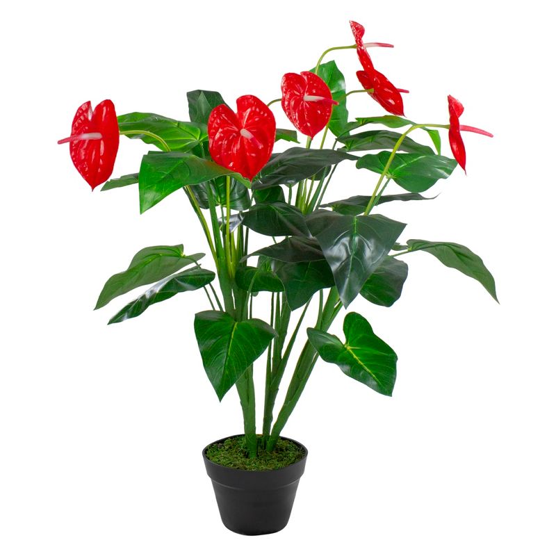 Northlight 41" Red and Black Potted Tropical Artificial Anthurium Plant In a Black Pot, 1 of 5