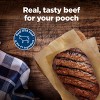 Blue Buffalo Nudges Jerky Cuts Natural Dog Treats with Beef - 16oz - 3 of 4