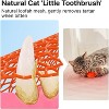 Potaroma Loofah Cat Chew Toys with Catnip and Silvervine - 3 of 3