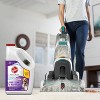 Hoover Paws & Claws 128oz Carpet Cleaner Solution - AH31933 - image 3 of 3