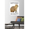 Trends International Capybara - Be Cappy Unframed Wall Poster Prints - 2 of 4