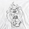 Boys’ Looney Tunes Faded Taz Hooded Sweatshirt - 2 of 4
