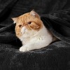 Cozy Comfort by Bedsure | Flannel Blanket Solid 260GSM Soft Fuzzy Plush Bed Blanket - 3 of 4