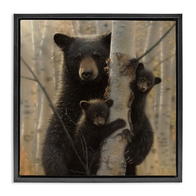 Stupell Industries Forest Black Bear and Cubs, 18" x 18"