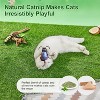 Potaroma Realistic Bug Catnip Cat Toys Crinkly Sound - 3 of 3