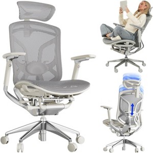 SAINTCY Butterfly Ergonomic Office Chair: Adjustable Lumbar Support & Headrest, High-Back Mesh Computer Desk Chair with Tilt, 4D Armrests, Heavy-Duty - 1 of 4