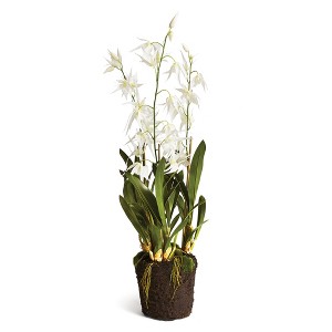 Plum & Post Spider Orchid Drop-In 44" - 1 of 4
