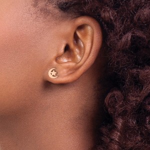 Chisel Stainless Steel Polished Rose IP-plated Moon and Star Earrings - 1 of 4