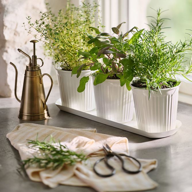 Fluted metal planter holds various herbs and sits on a counter next to a copper plant mister and plant snipper.