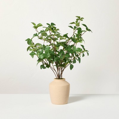 17" Faux Gypsophila Leaf Plant - Hearth & Hand™ with Magnolia