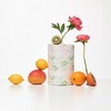 Renova Seasonal Paper Towels - 1 Jumbo Roll - 120 Sheets - 2 Ply - FSC Certified - Holiday & Decorative Kitchen Towels - 2 of 4