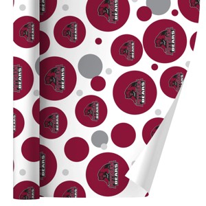 State University of New York at Potsdam Primary Logo Gift Wrap Wrapping Paper Roll 30x72 - 1 of 4