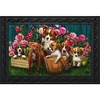 Briarwood Lane Doormat 30x18 Indoor Outdoor In the Garden Spring For Spring Doormat - 2 of 3