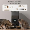 Double Automatic Cat Feeder for 2 Cats, Timed Food Dispenser with 2 Stainless Steel Bowls - 2 of 4