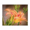 Trademark Fine Art Leslie Montgomery A Gift From The Orient Wood Slat Art - 3 of 4