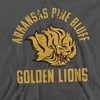 University of Arkansas at Pine Bluff Official Golden Lions Logo Adult Pull-Over Hoodie - 2 of 4