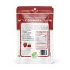 Nature's Turn Freeze-Dried Fruit Snacks - Apple Cinnamon Crisps -  No Sugar Added, Non GMO, Gluten Free, Nothing Artificial - 15g (.53oz) - 6-PACK - 3 of 4