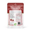 Nature's Turn Freeze-Dried Fruit Snacks - Apple Cinnamon Crisps -  No Sugar Added, Non GMO, Gluten Free, Nothing Artificial - 15g (.53oz) - 6-PACK - image 3 of 4