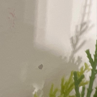 Guest review image 1 of 2, zoom in