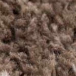 off white, dark brown