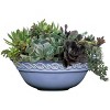 Set of 2 Corinthian Bowl Planters - Classic Home and Garden - 3 of 4