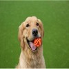 Chuckit Breathe Right Fetch Ball- Medium - 3 of 3